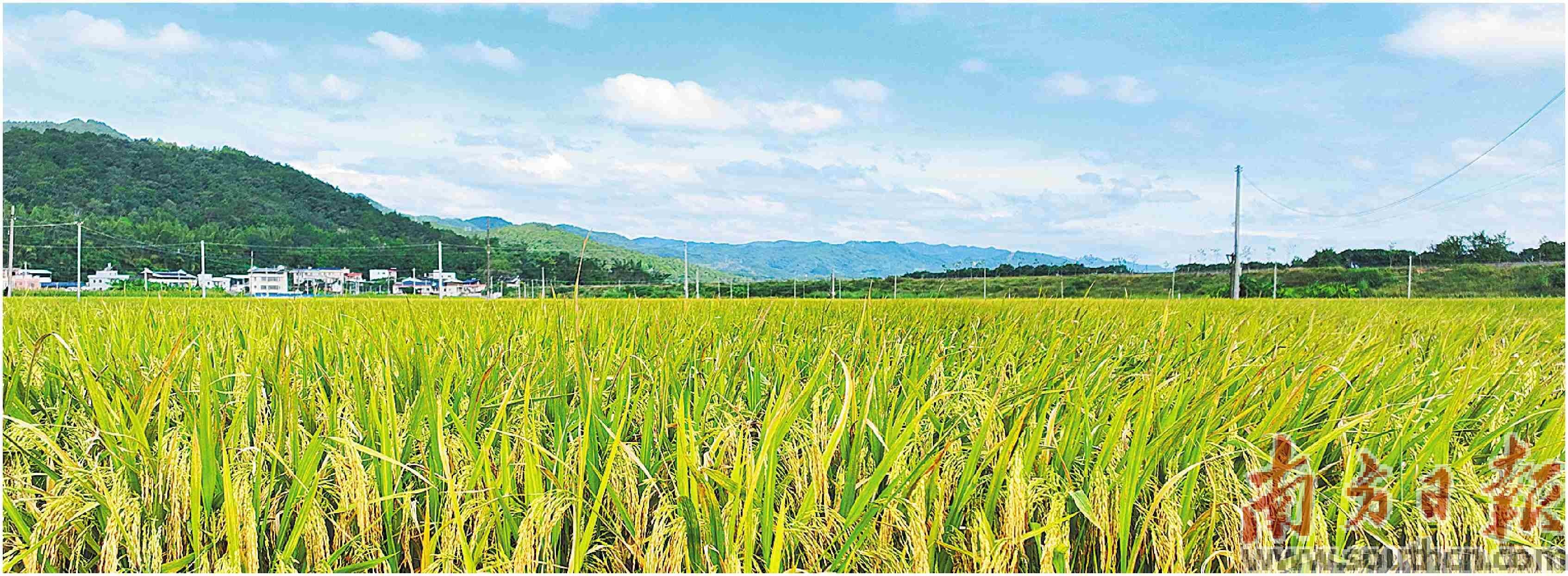 首次坐高铁