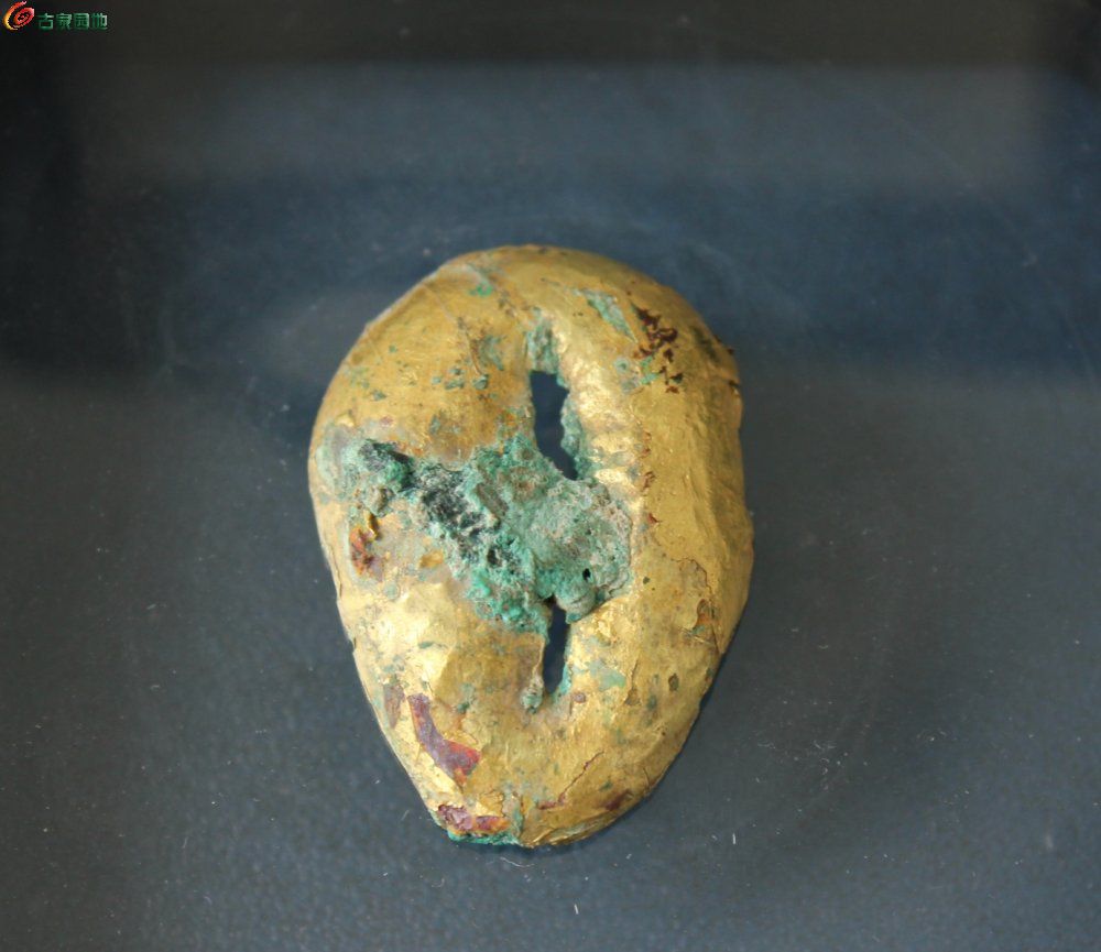 金贝币(金贝币拍卖)